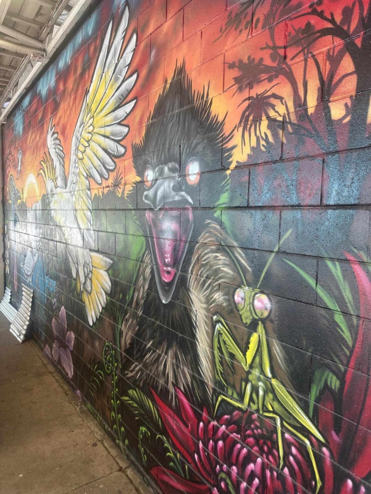 Habitat Backpackers Hostel Brisbane Exterior photo